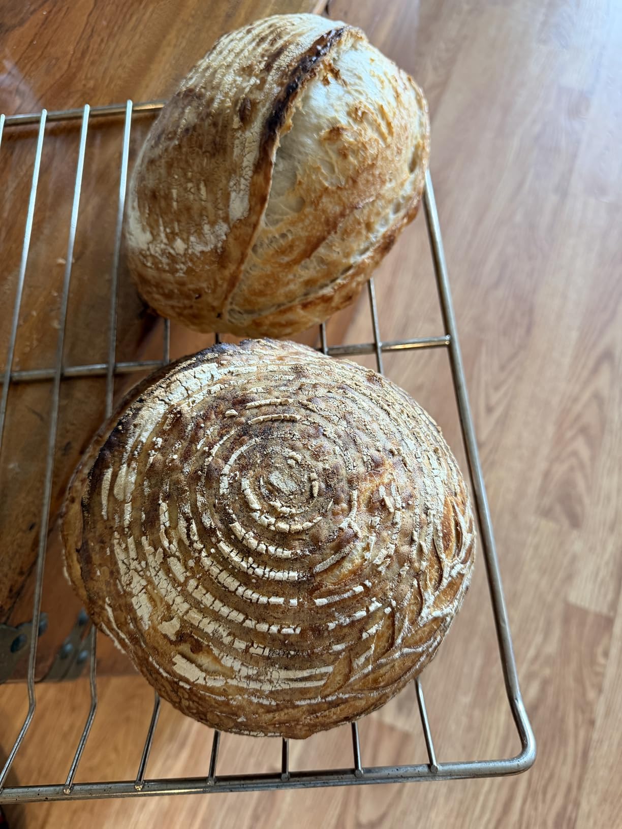 Brod & Taylor Ultralight Baking Shell for Sourdough Bread (Batard) - No Preheating Needed for Crispy Crust and Even Baking customer photo 2