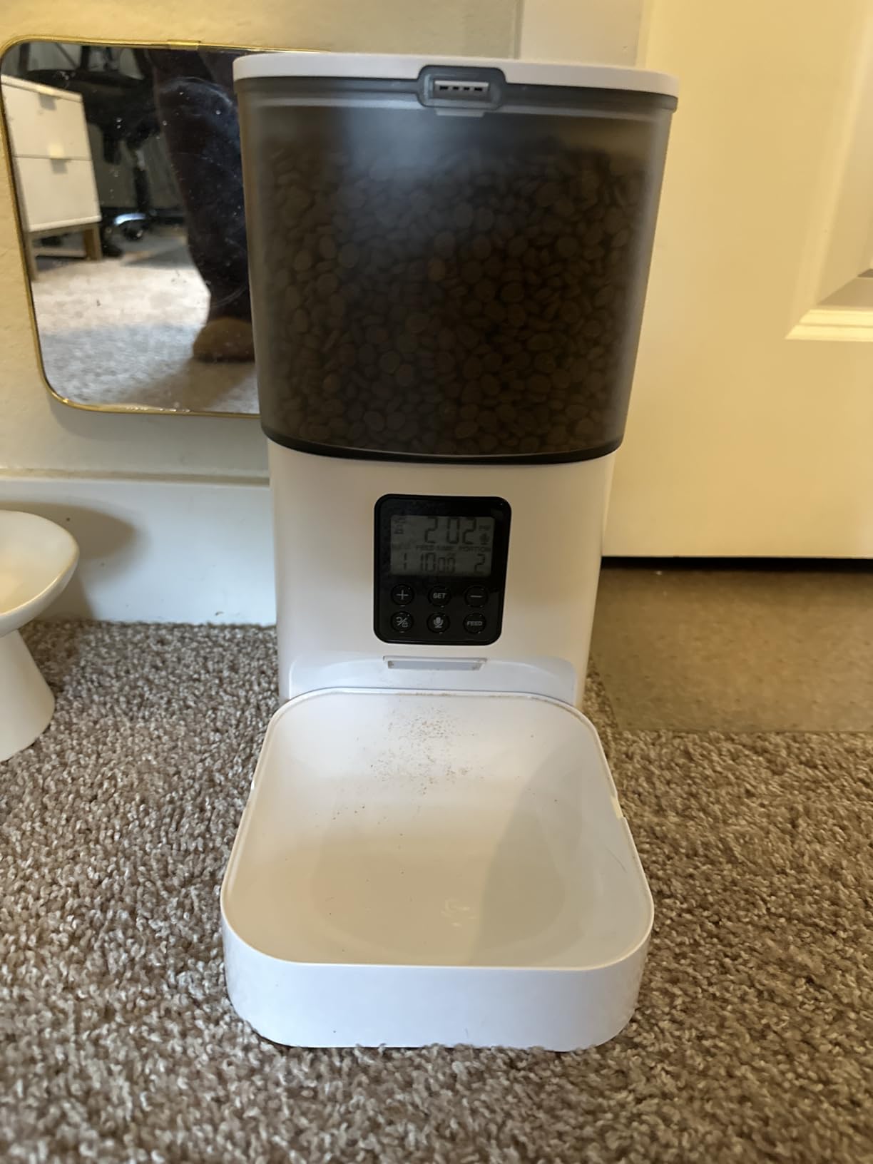 Automatic Cat Feeder, 4L Cat Food Dispenser with 10s Voice Recorder customer photo 1