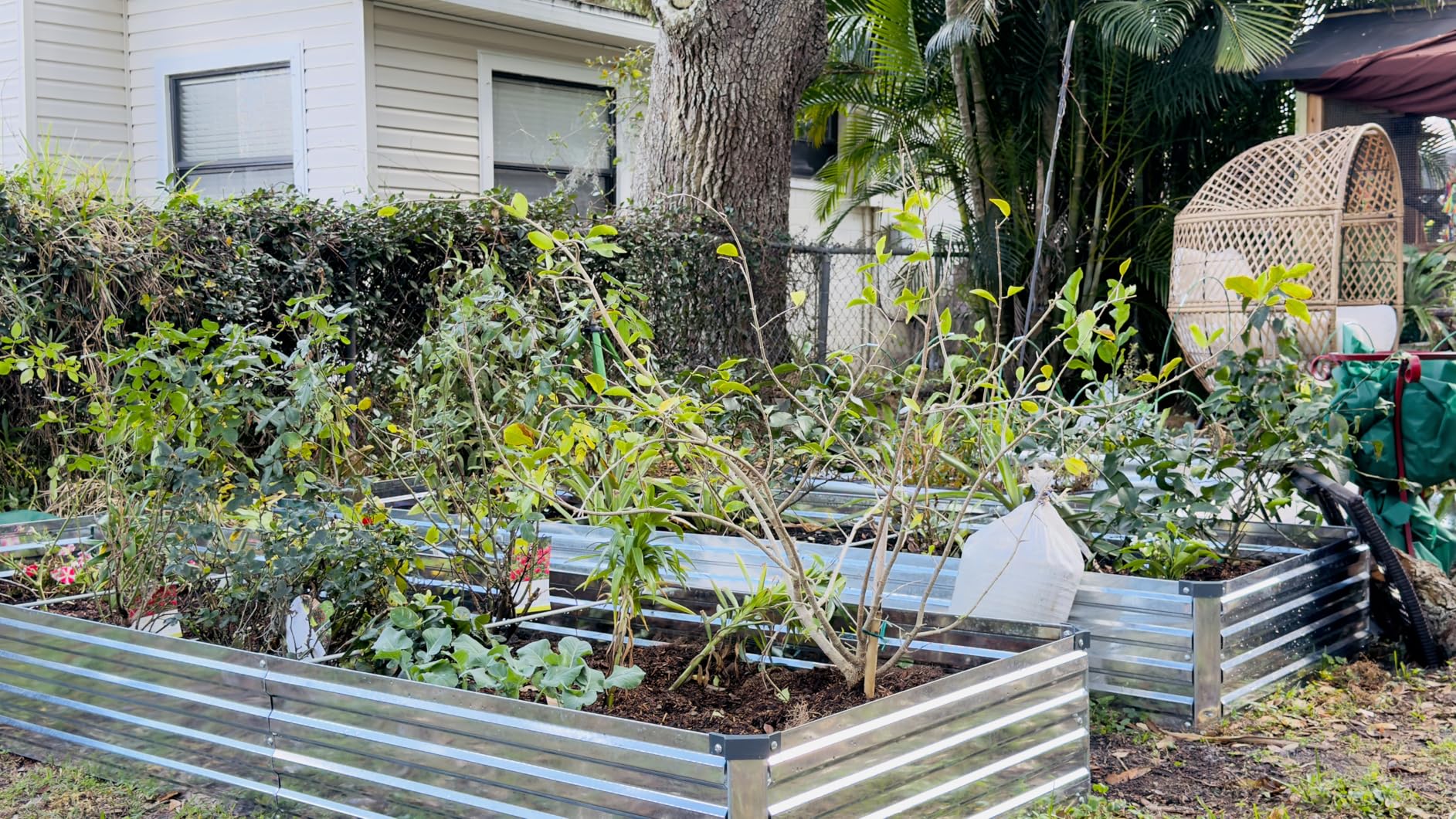 10x3x1FT(2PCS) Galvanized Raised Garden Bed Kit Metal Planter Boxes,Large Outdoor Planters Garden for Planting Vegetables,Flowers,Herbs -Silver customer photo 2