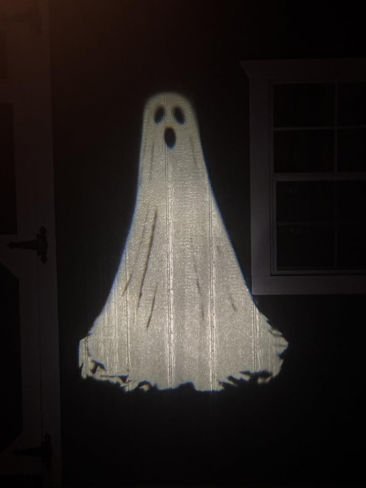 Halloween Projector Lights Outdoor, 3D Dynamic Ghost Decorations Light customer photo 1