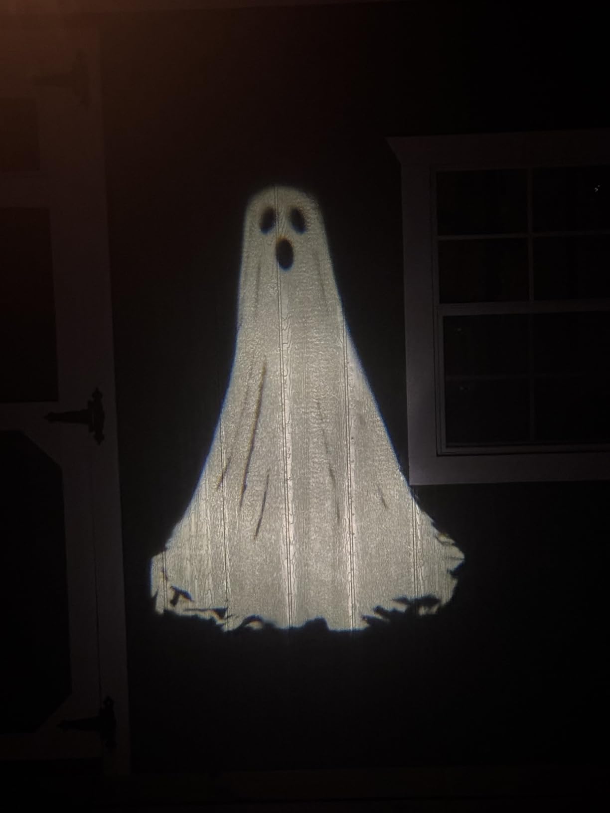 Halloween Projector Lights Outdoor, 3D Dynamic Ghost Decorations Light customer photo 2