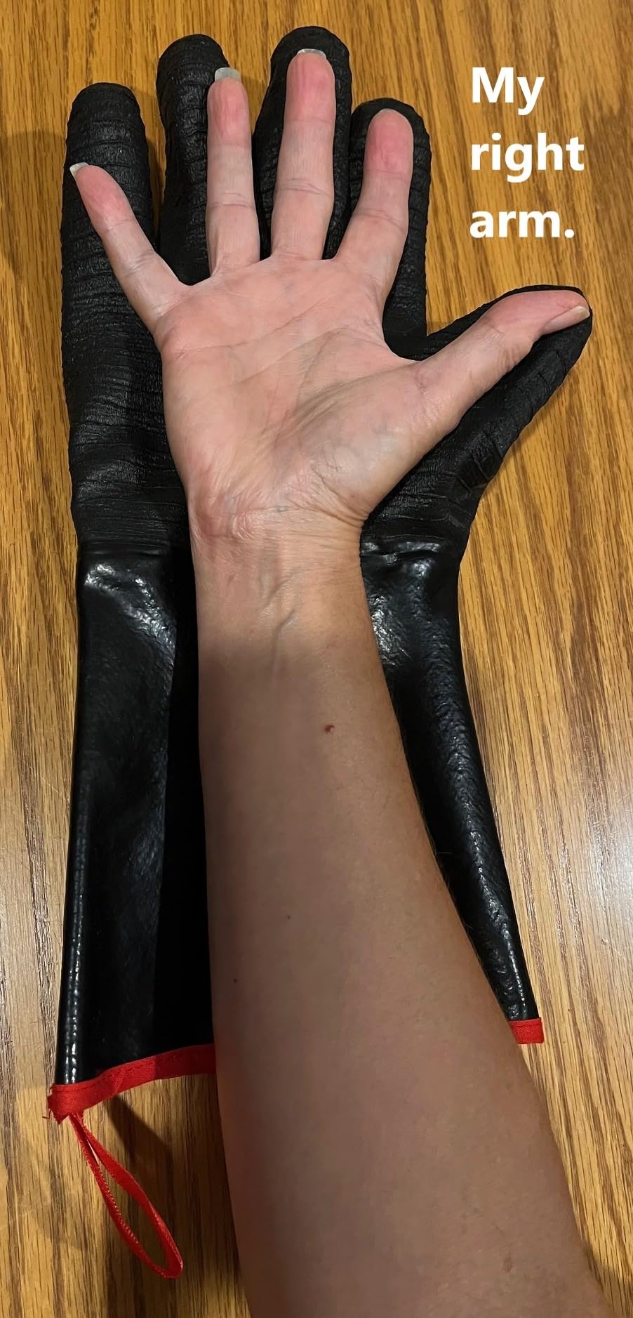 TempPro 932°F Heat Resistant BBQ Gloves, 14