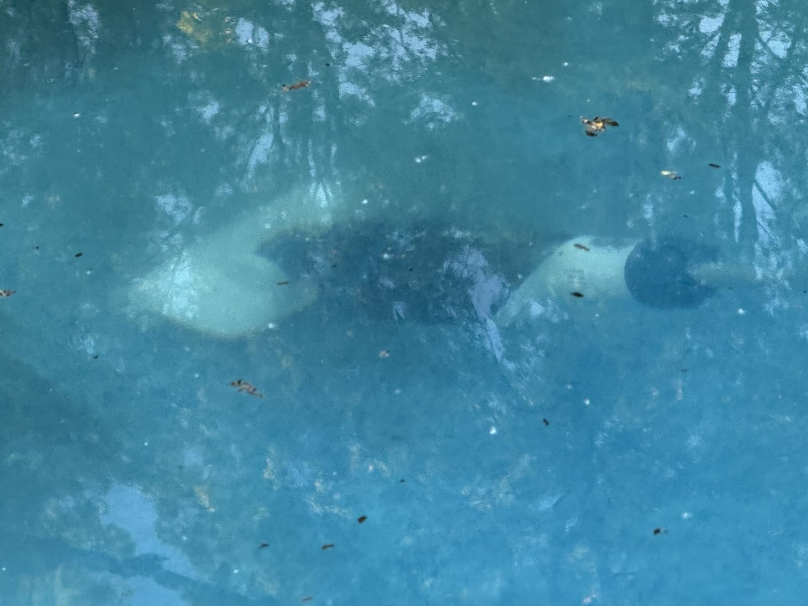 ENHULK Pool Vacuum for Above Ground Pool, Upgraded 13.4