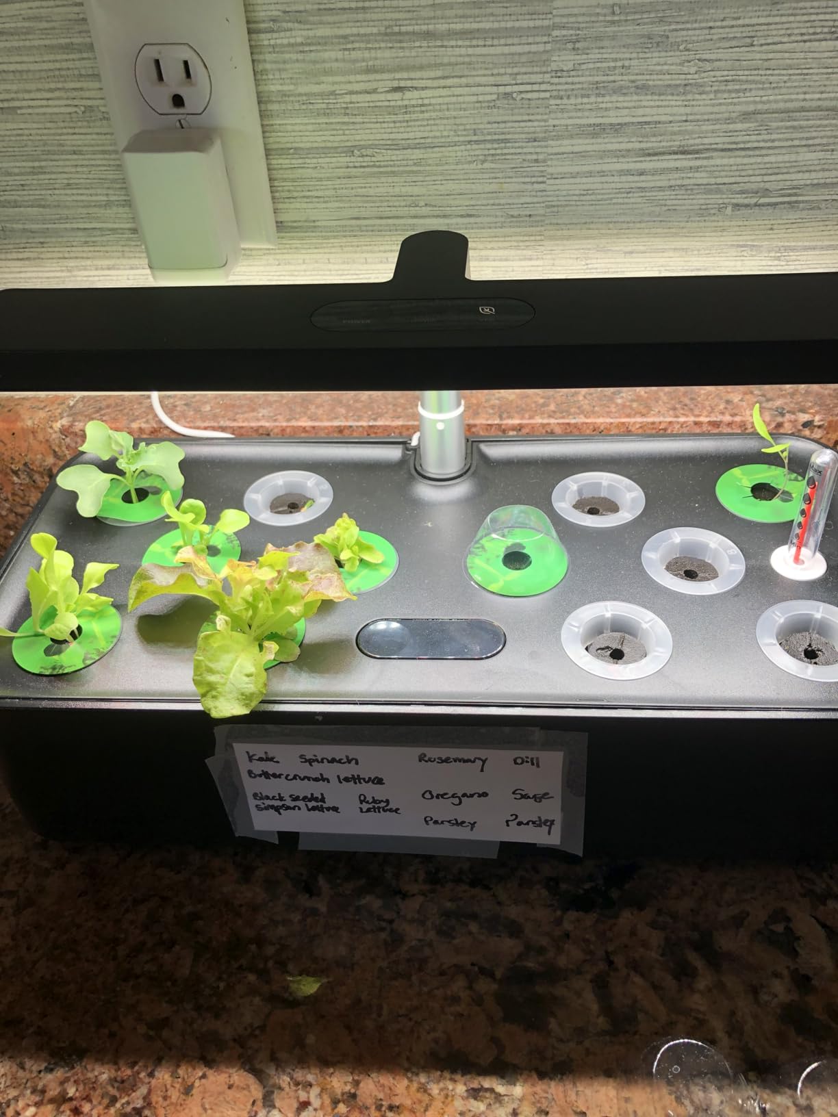 SUNCOZE Hydroponics Growing System Kit 12 Pods, 24W LED Grow Light Indoor Garden, 4L Water Tank with Quiet Pump, Adjustable Height customer photo 2