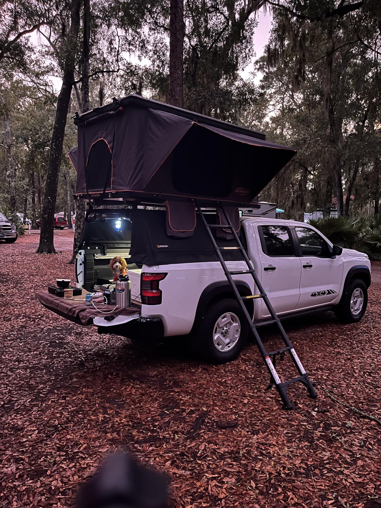 Alumnimun Rooftop Tent Hard Shell with Winter Insulation, Pop Up 2 Person Roof Top Hardshell for Camping Truck Van Suitable for Jeep SUV Car customer photo 1