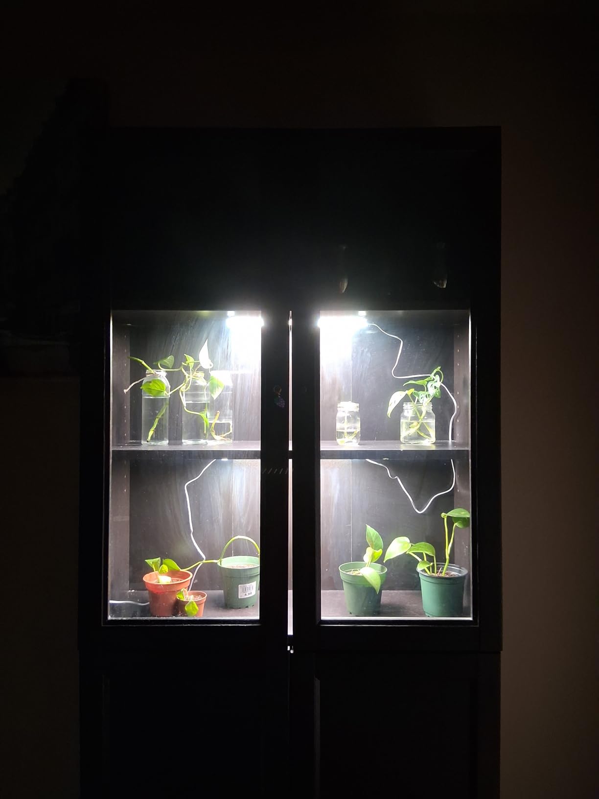 4-Pack Panel Grow Lights for Indoor Plants, FECiDA 2026 LED Plant Grow Light for Under Cabinet Plants, Full Spectrum Growing Lamp with 4,8,12,16,20 Hr Timer, Free Linking customer photo 1