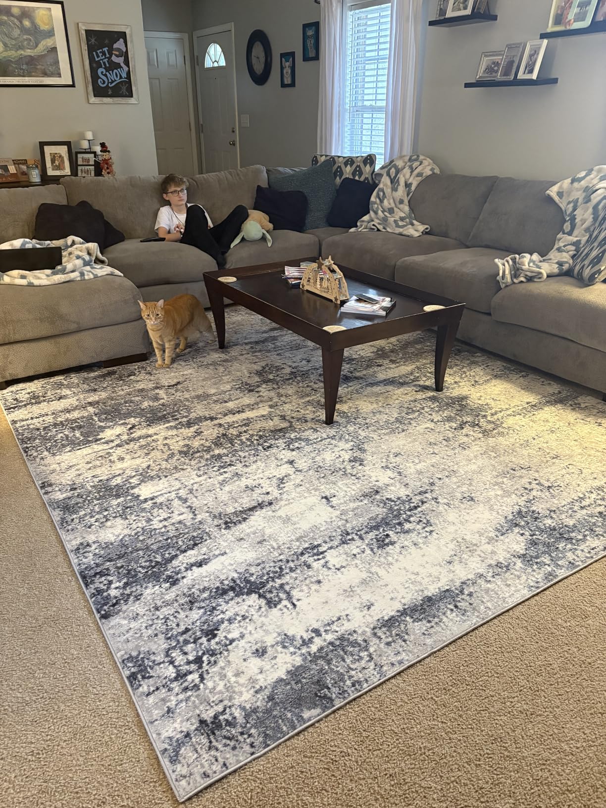 8x10 Area Rugs for Living Room Rug Washable: Abstract Large Rug for Dining Room Bedroom Carpet Non Slip 8 by 10 Indoor Modern Nursery Home Office Blue Grey customer photo 1