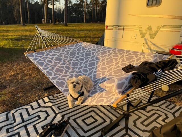 ANAGOO Double Hammock with Stand, Heavy Duty Outdoor Hammock for Two, 500 LBS Capacity customer photo 2