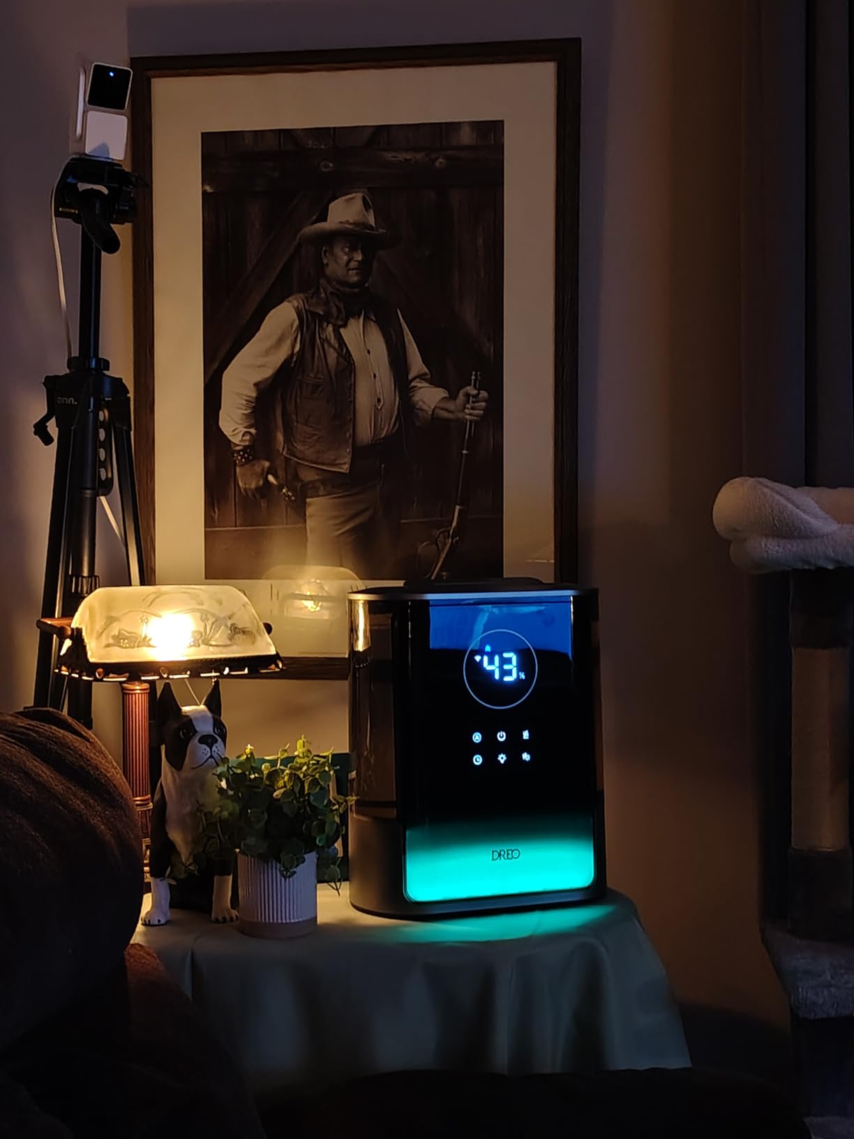 DREO 8L Smart Humidifiers for Bedroom 600ft², 80H Runtime Warm&Cool Supersized Mist Humidifier for Large Room Indoor, Quiet Whole House humidifier for Baby, Plants, with Alexa/Google, Black, HM717S customer photo 1
