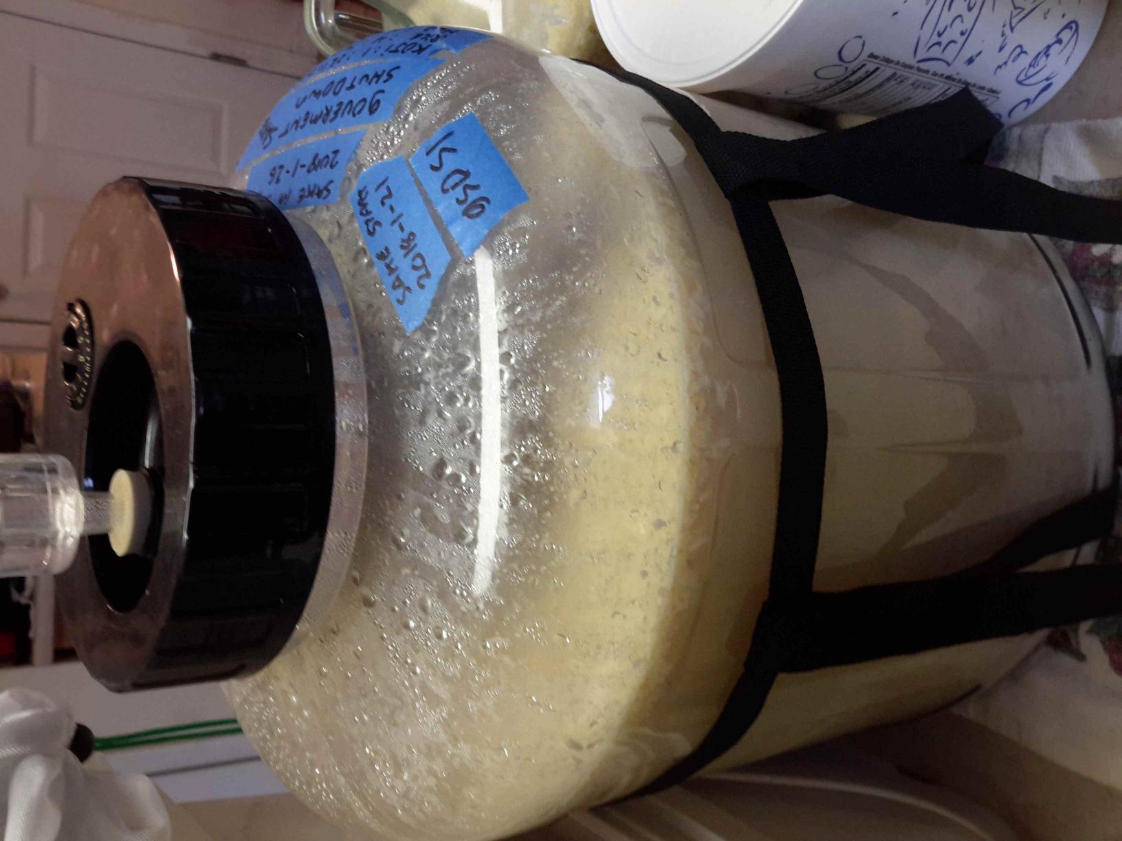 Kegco 6.5 Gallon Wide Mouth Glass Carboy Fermenter Homebrew Beer & Wine Making customer photo 1