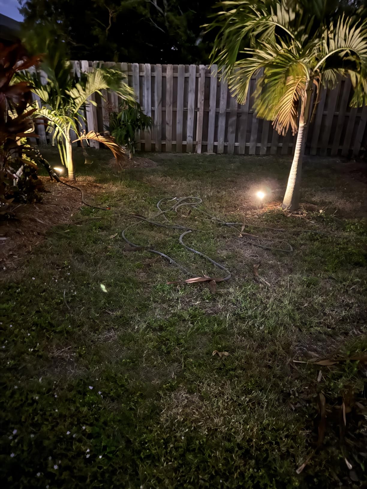 NYMPHY Solar Color Changing Lights, 7 Lighting Modes Solar Lights Outdoor Waterproof IP68, Multicolor RGB Outdoor Lights for Garden Yard Landscape Decorations- 4 Pack customer photo 2