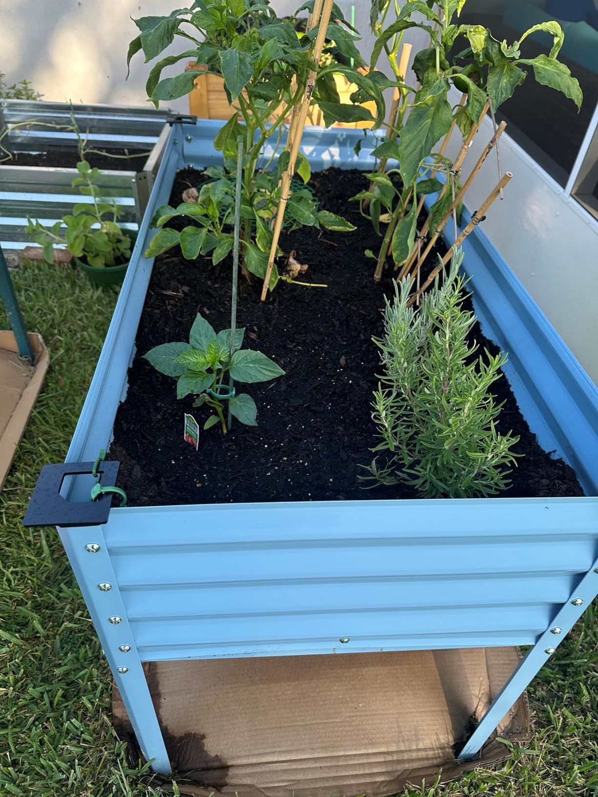 Best Choice Products 48x24x30in Galvanized Raised Garden Bed, Metal Elevated Planter Box, Vegetable Garden for Backyard, Patio, Balcony, 100% Non Toxic Materials - Charcoal customer photo 2