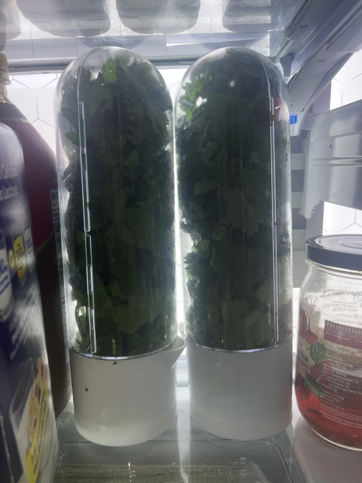 Herb Saver for Refrigerator - Herb Keeper & Cilantro Container for Fridge | Vegetable Preservation Storage Container for Cilantro, Basil, Asparagus | Extends Freshness Up to 2-3 Weeks customer photo 1