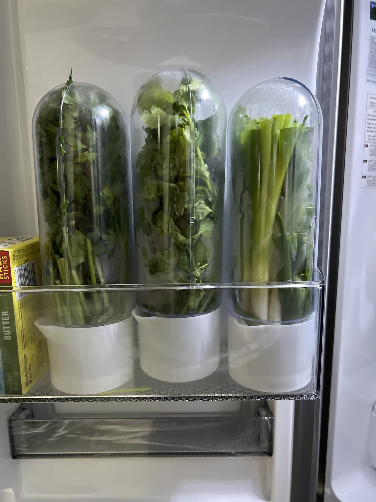 Herb Saver for Refrigerator - Herb Keeper & Cilantro Container for Fridge | Vegetable Preservation Storage Container for Cilantro, Basil, Asparagus | Extends Freshness Up to 2-3 Weeks customer photo 2