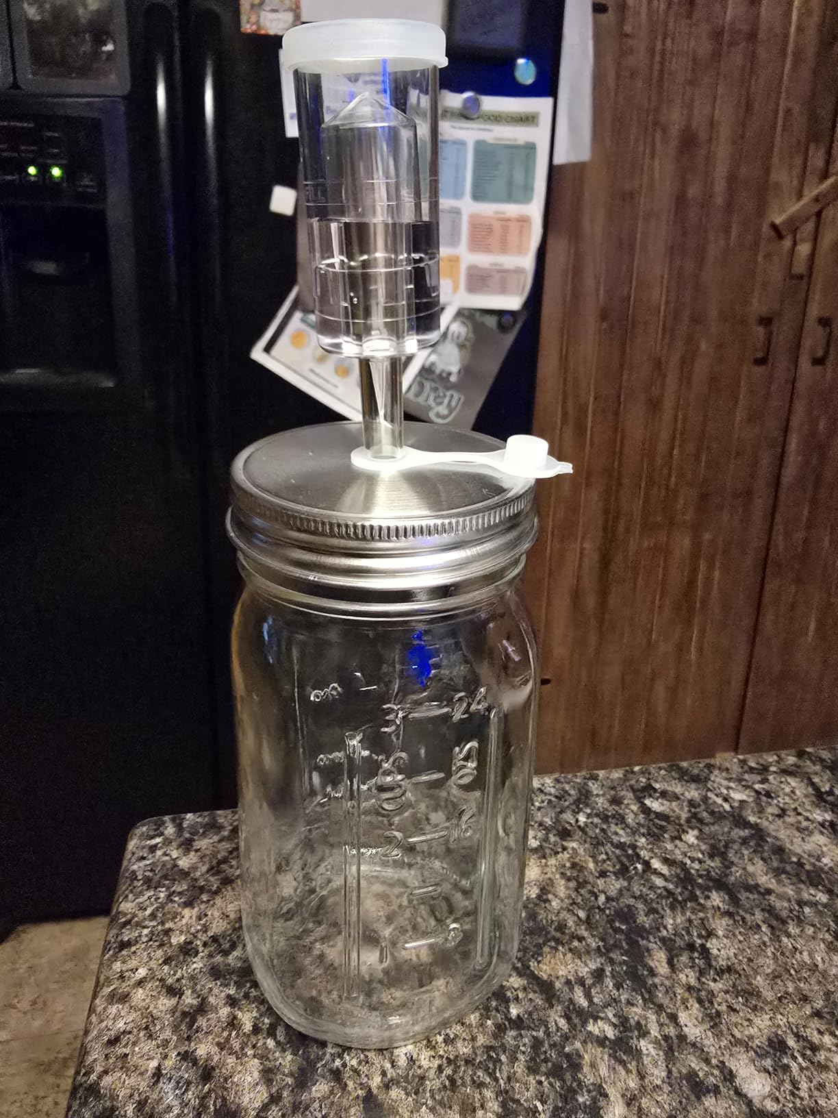 32 oz Mason Jar Fermentation Kit, 2 Pack Fermentation Jars, Fermentation Lids, Fermenting Weights and Airlocks, Complete Fermenting Kit for Making and Storing Sauerkraut(Pack of 2) customer photo 2