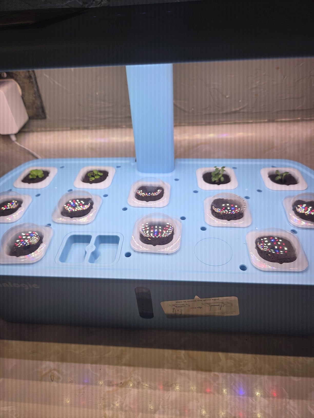 Sainlogic Hydroponics Growing System Kit, 12 Pods Watering Planter, Smart Indoor Garden with APP & WiFi Connected, 5 X Growth with 24W LED customer photo 1
