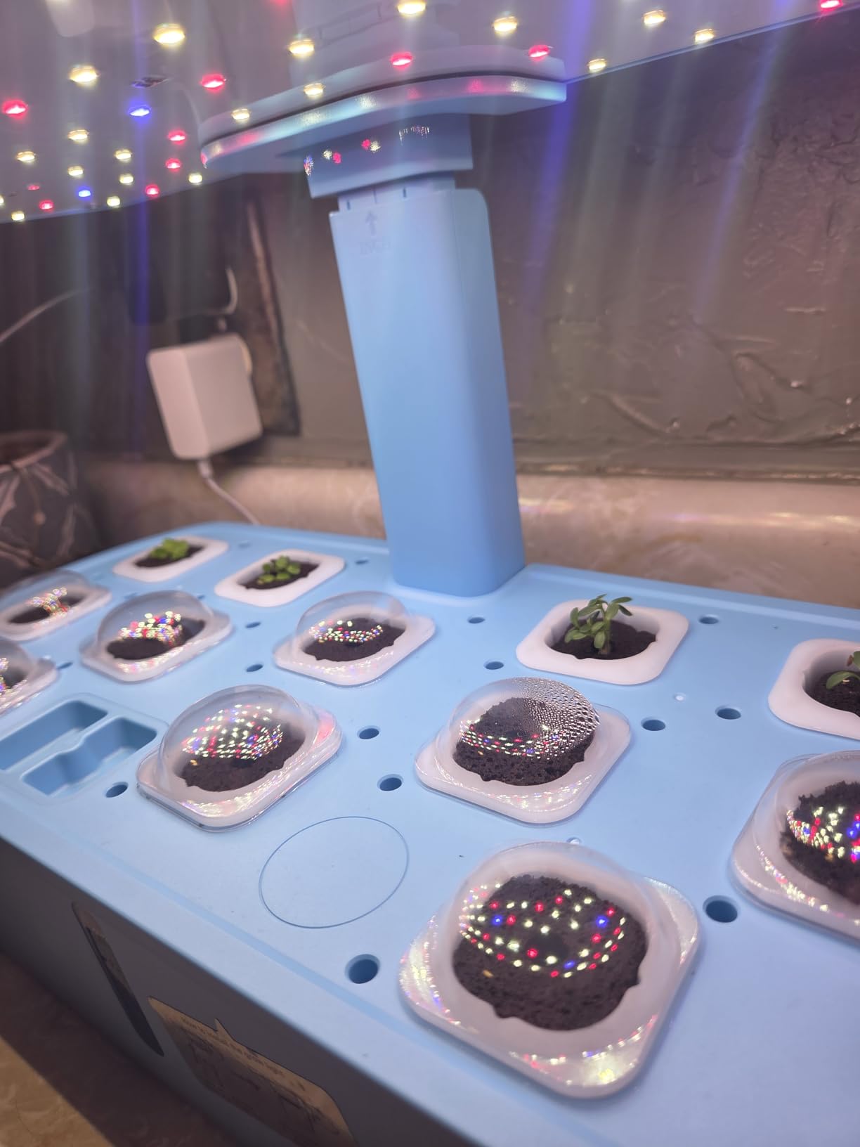 Sainlogic Hydroponics Growing System Kit, 12 Pods Watering Planter, Smart Indoor Garden with APP & WiFi Connected, 5 X Growth with 24W LED customer photo 2