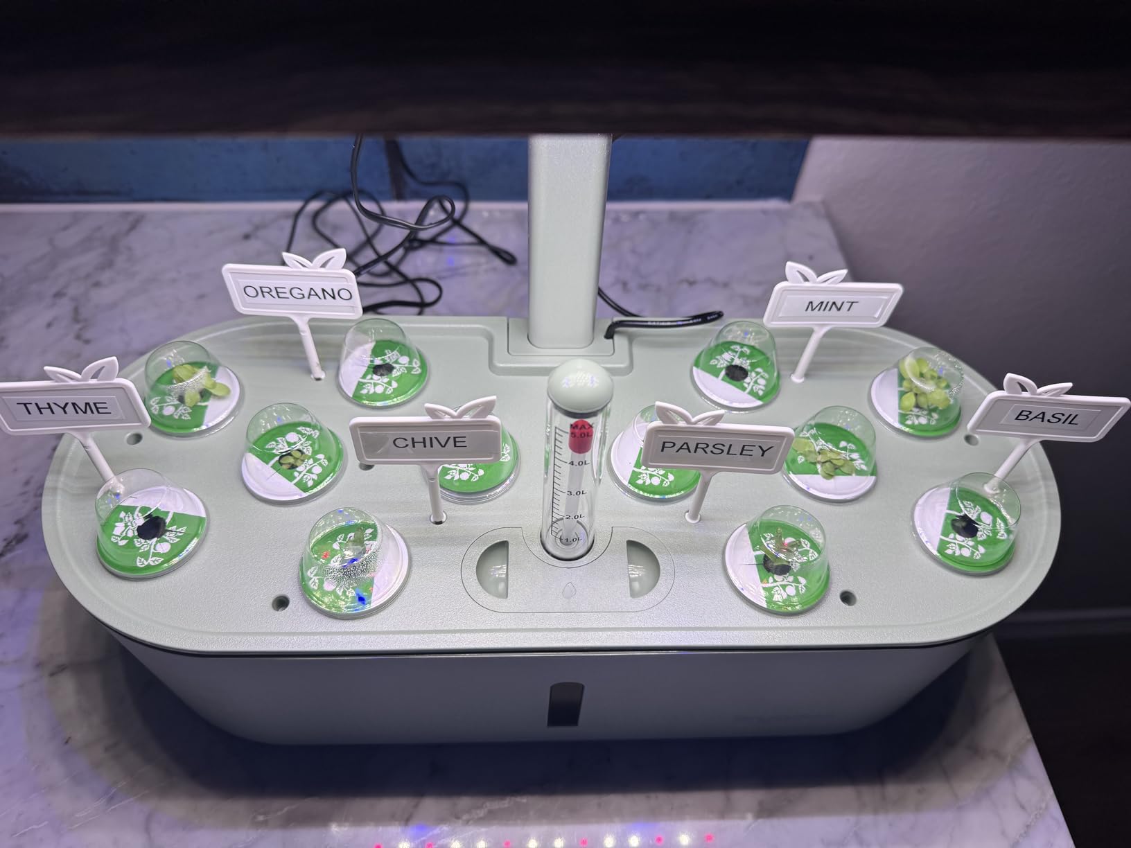 Hydroponics Growing System Indoor Garden: 12 Pods Herb Garden Kit Indoor with LED Grow Light Plant Germination Kit Aeroponic Healthy Fresh Herbs Vegetables Hydroponic Planter for Home Kitchen Office customer photo 2