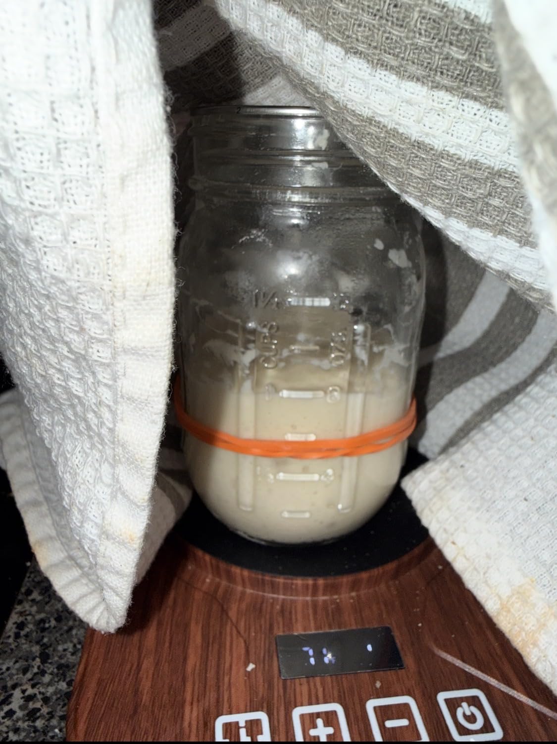 Sourdough Starter Warmer Mat - 24H Timer - Precise 1°F Thermostat Control (70-100°F) - Smart Memory Warming On/Off - Fits Jars Up to 40oz - Perfect for Home Baking (Black) customer photo 2