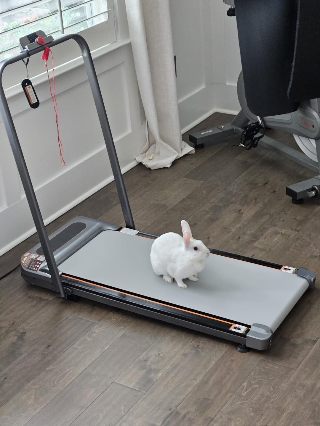 Foldable Treadmill with 10% Incline, Upgrade 3.5HP Low Noise Walking Pad Treadmill with Handle Bar, Trisomy 4 in 1 Portable Under Desk Treadmills for Home/Office, 350Lbs Capacity, APP & Remote Control customer photo 2