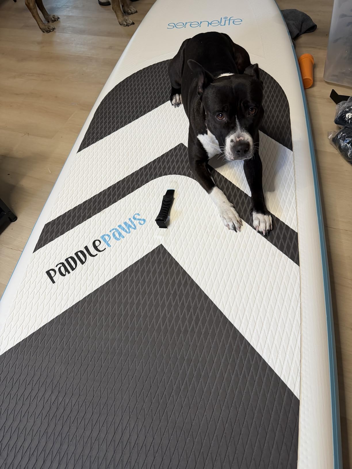 SereneLife XL Inflatable Stand Up Paddle Board - Pet-Friendly SUP for Adults and Pets - Extra-Wide Stable Design with Non-Slip EVA Deck Pad, Premium SUP Accessories, 440/485 lbs customer photo 1