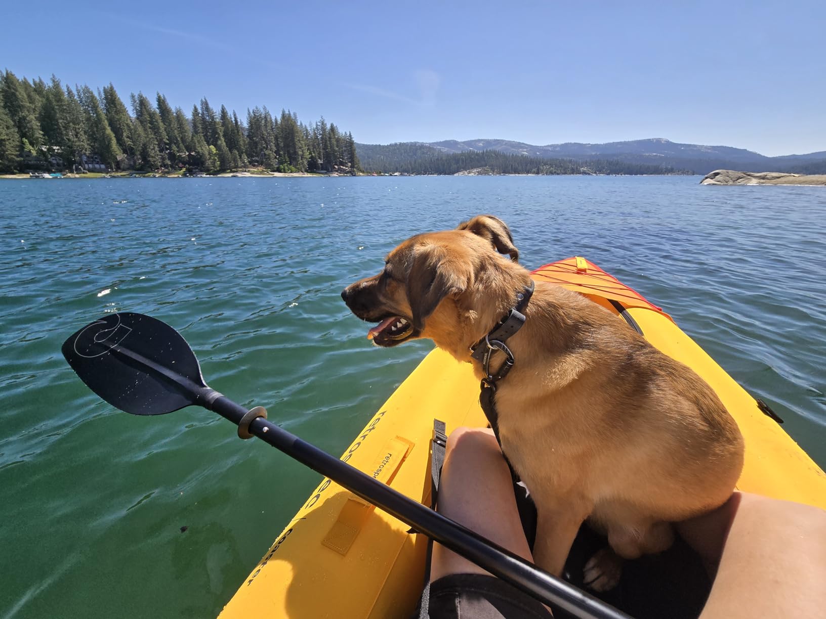 Retrospec Coaster Single & Tandem Inflatable Kayak for Adults, 220 & 440lb Weight Capacity, Lightweight with Paddle & Pump customer photo 2
