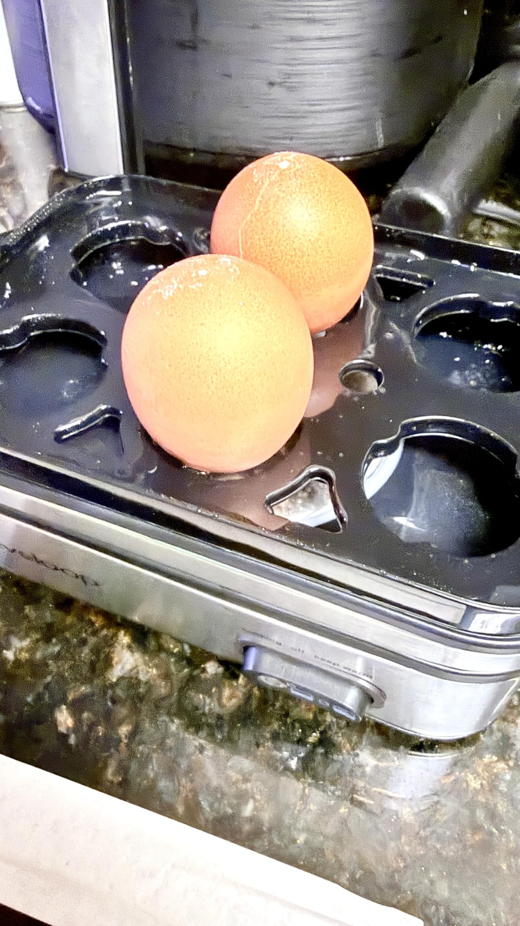 Evoloop Rapid Egg Cooker Electric 12 Eggs Capacity, Soft, Medium, Hard Boiled, Poached, Omelet Maker Egg Poacher & Vegetable Steamer, BPA Free Tray customer photo 1