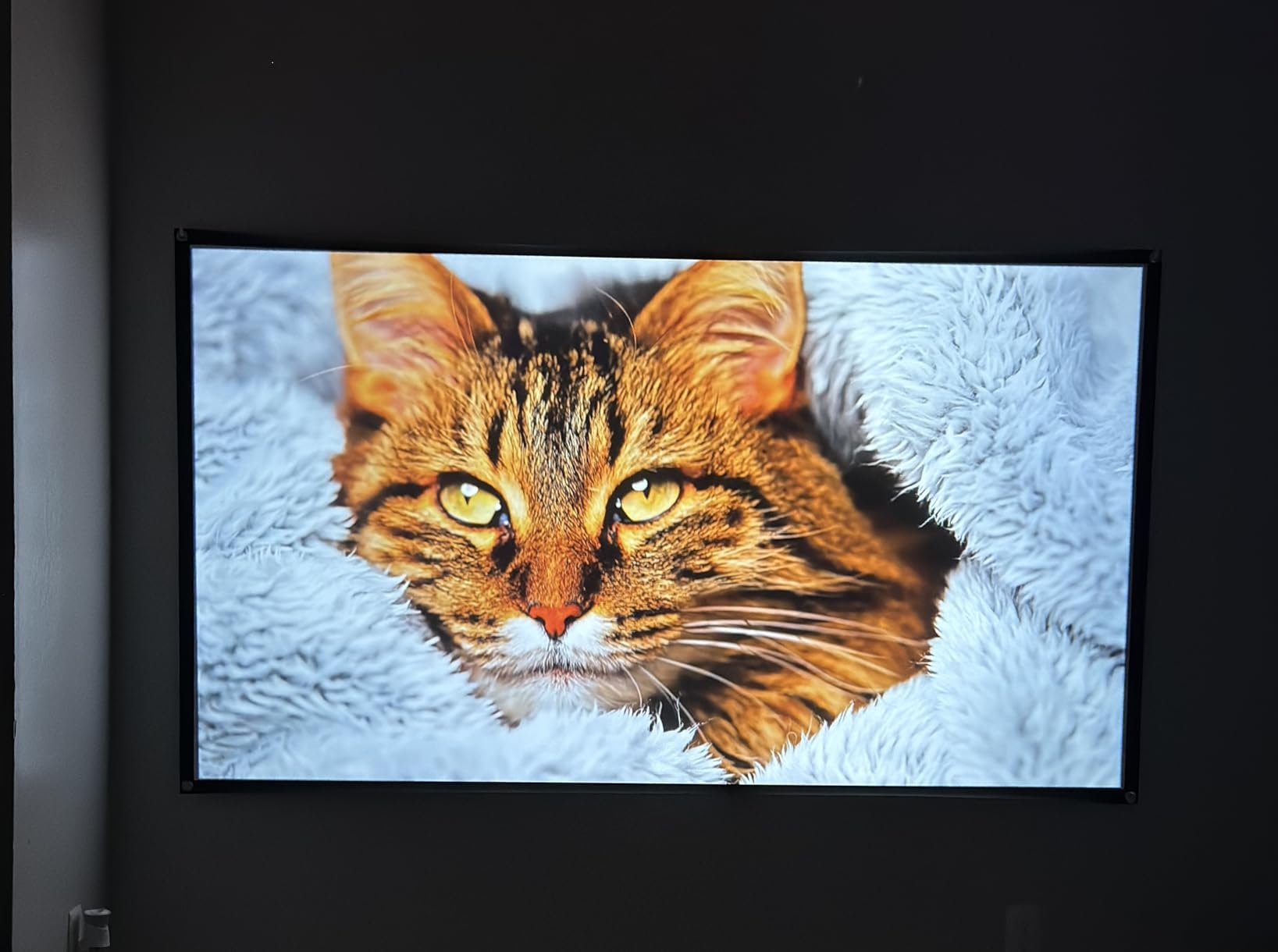 1500 ANSI Official Licensed Google TV Smart Projector, HAPPRUN 4K Full HD Home Theater with Auto Focus, Dolby Sound, Wi-Fi Bluetooth, Built-in Apps, Compatible with Phone & PC, Indoor & Outdoor Use customer photo 2