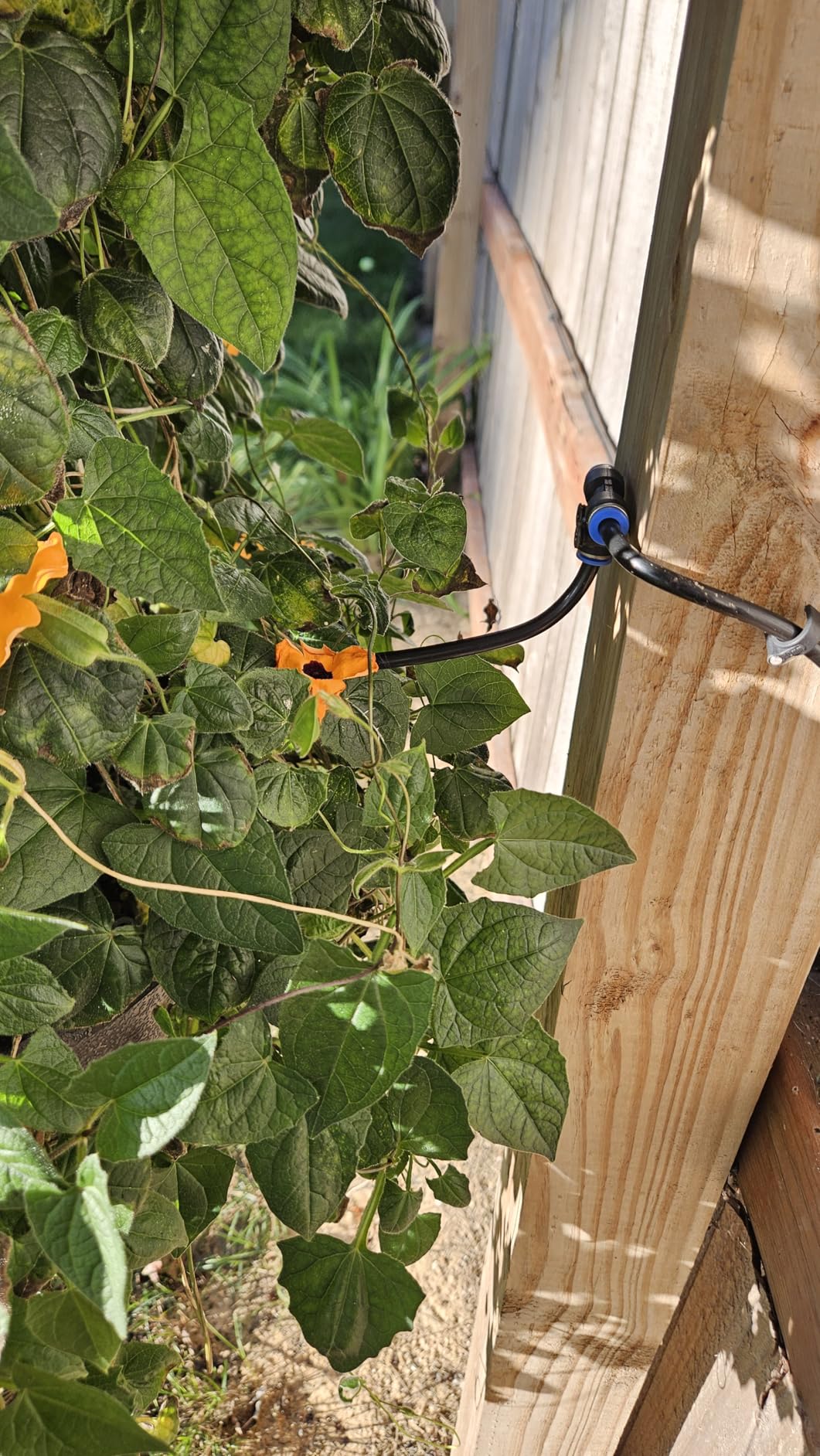 MIXC 100Ft 1/4