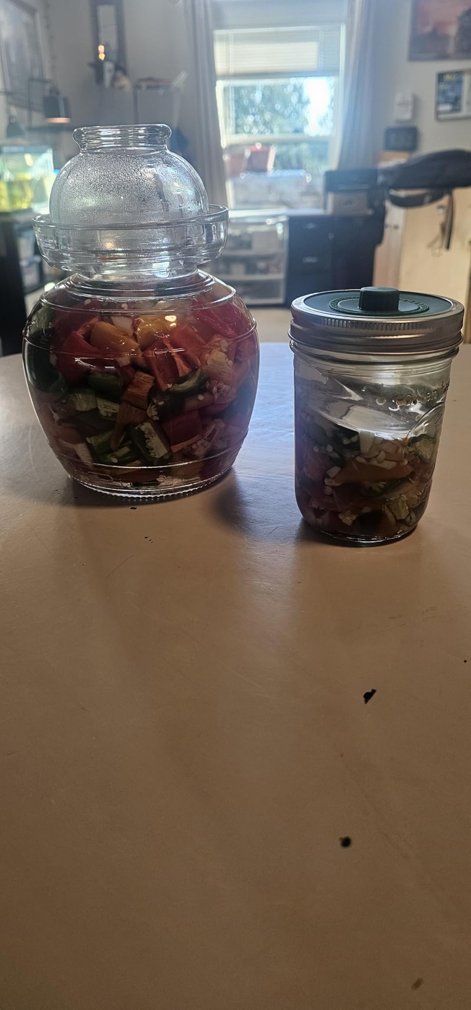Mfacoy Airlock Fermentation Lids for Wide Mouth Mason Jars, Pickle Pipes, Fermenter Caps, Fermentation Kit for Sauerkraut & Pickle Kit, One Way Waterless Airlock Valve - BPA-Free (Jar Not Included) customer photo 1