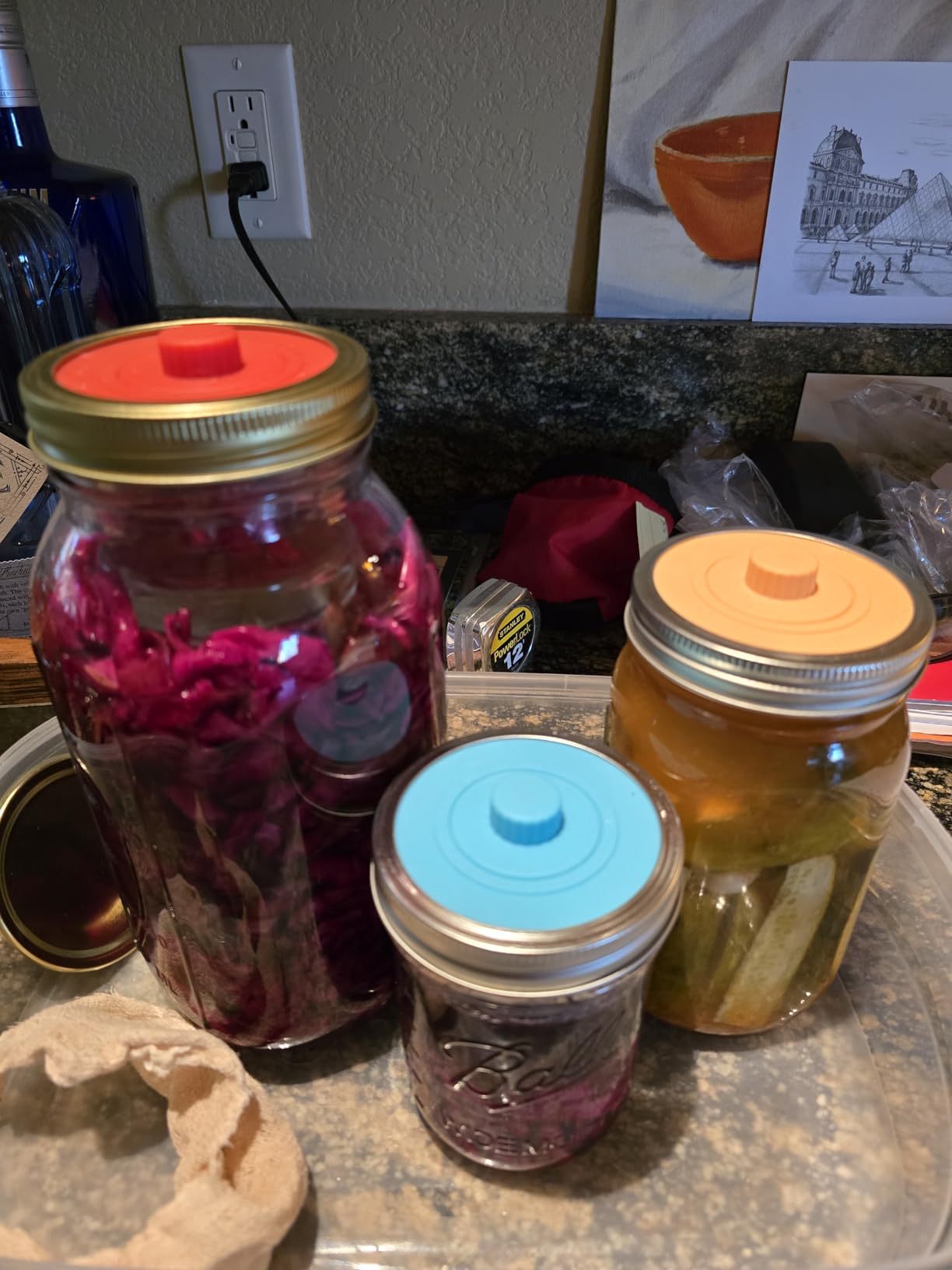 Mfacoy Airlock Fermentation Lids for Wide Mouth Mason Jars, Pickle Pipes, Fermenter Caps, Fermentation Kit for Sauerkraut & Pickle Kit, One Way Waterless Airlock Valve - BPA-Free (Jar Not Included) customer photo 2