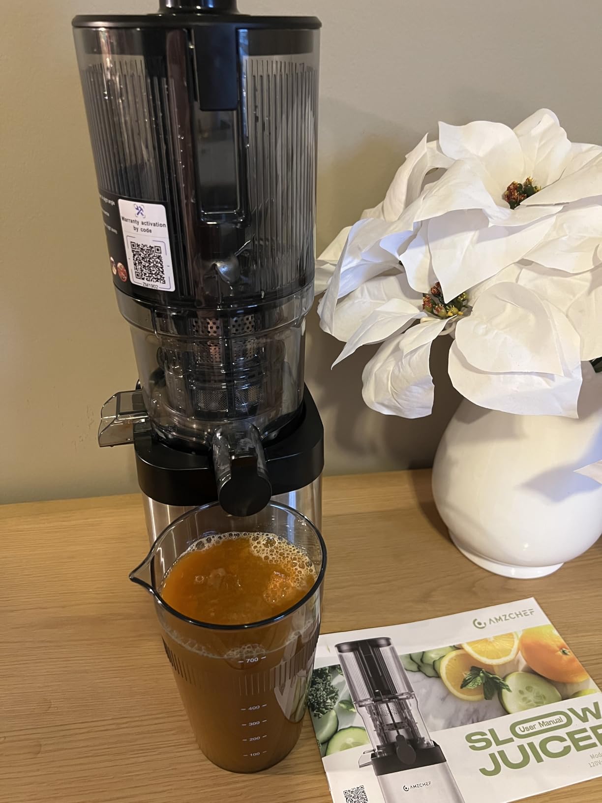 Cold press Juicer Machines with 5.4