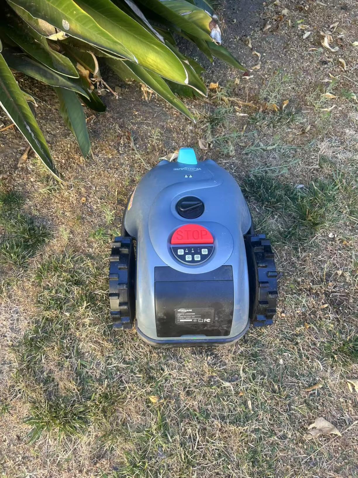 M800Plus Cordless Robot Lawn Mower with GPS + Visual Navigation, Bow-Shaped Path Mowing, APP Control, 4.0Ah Automatic Robotic Lawnmower for 1/5 Acre, Obstacle Avoidance, Height Adjustment customer photo 2