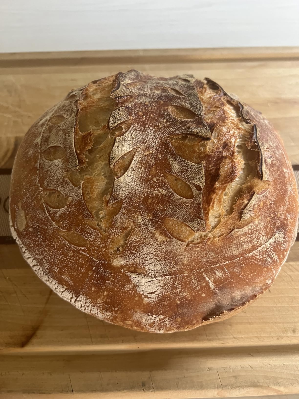 Sourdough Starter Kit with 10