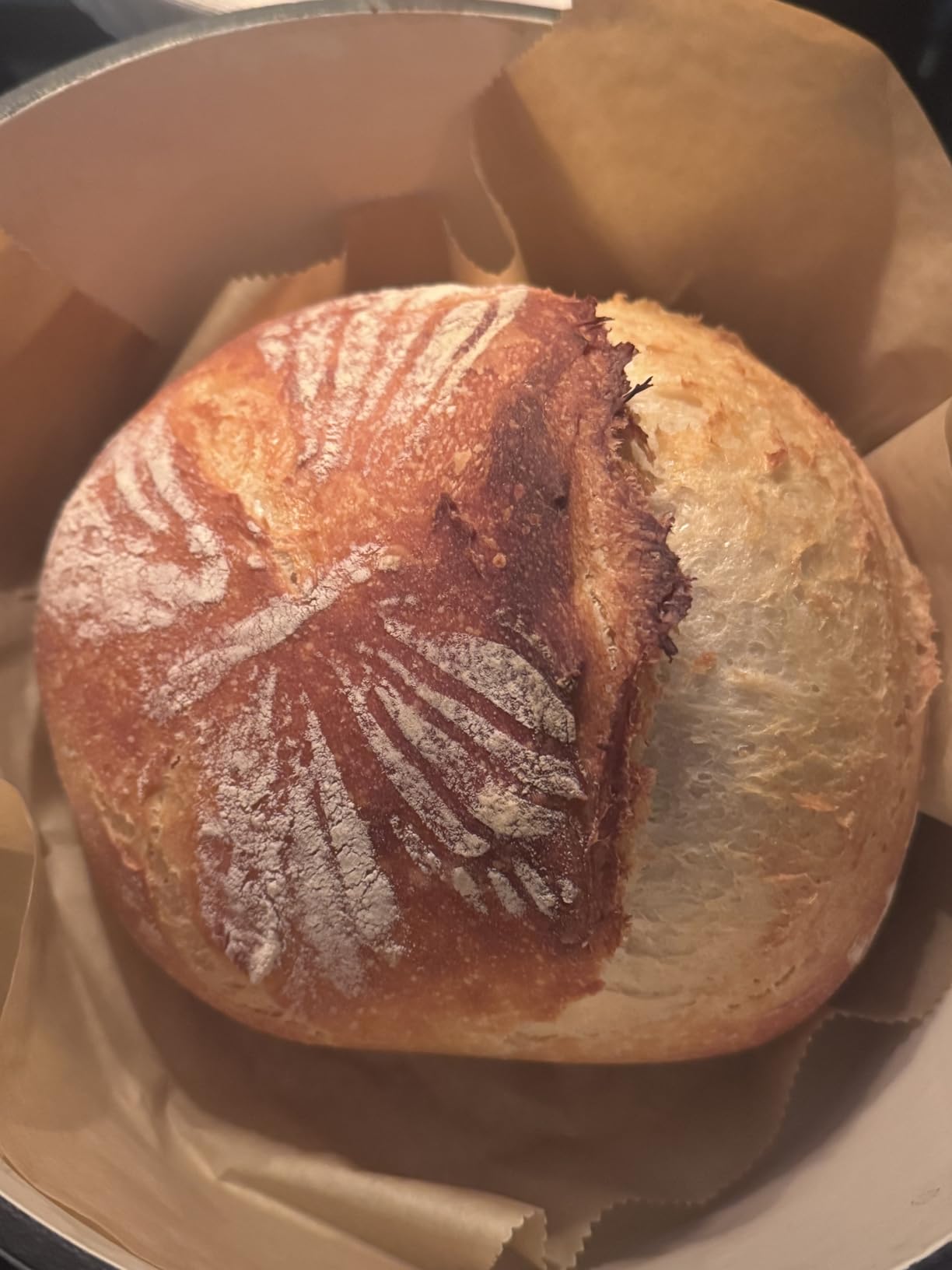 Sourdough Starter Kit, Sourdough Bread Baking Supplies, Round & Oval Banneton Bread Proofing Basket, Bread Sling, Starter Jar, Dough Whisk, Scrapers, Stencils & Bag, Complete Sourdough Kit Gifts customer photo 1
