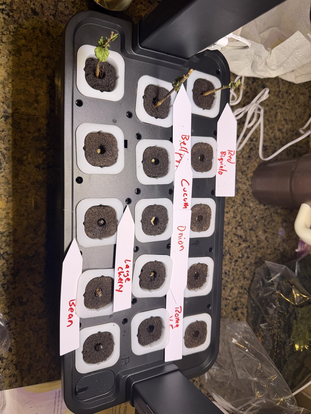 Hopegarden Indoor Garden Hydroponics Growing System: 15 Pods Plant Germination Kit Herb Vegetable Growth Lamp Countertop with LED Grow Light customer photo 2