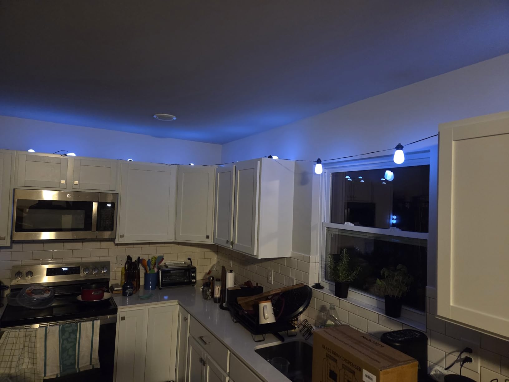 Outdoor String Lights S14, Smart Patio Lights with 15 Shatterproof LED Bulbs, APP & Remote Control, 213 Scene Modes, IP67 Waterproof for Garden, Wedding, Party, Camping customer photo 1