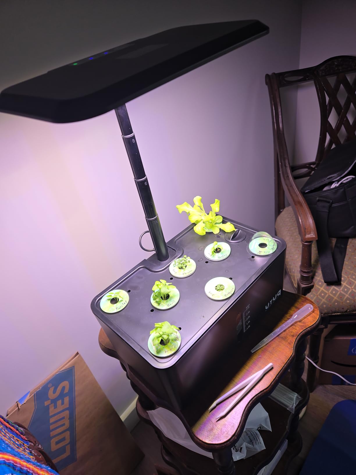 URUQ Hydroponics Growing System Garden: 8 Pods Indoor Herb Garden with Grow Light Plants Germination Kit Quiet Automatic Hydroponic Height Adjustable customer photo 2