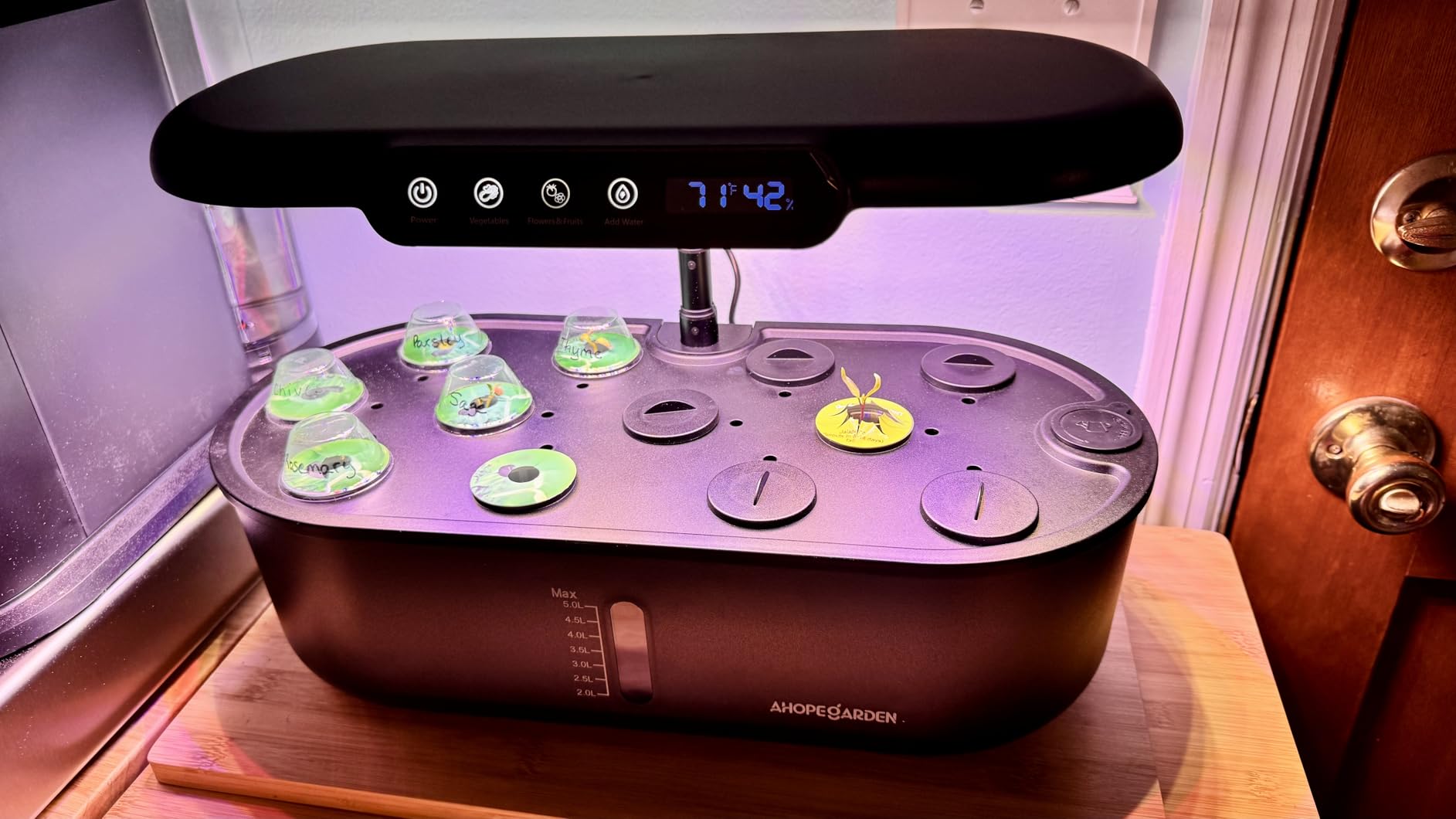 Ahopegarden Hydroponics Growing System Herb Garden: 10 Pods Indoor Garden Kit with LED Grow Light and Smart Temp & Humidity Display - Plant Germination Kit for Home Kitchen customer photo 2