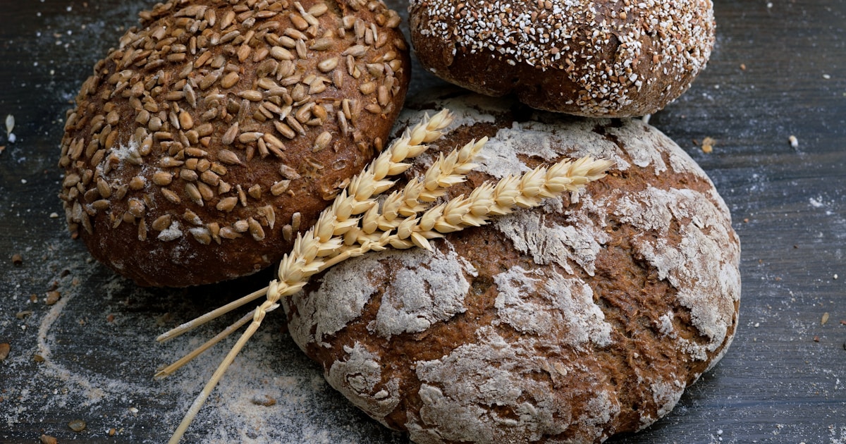 Best Bread Box For Freshness: Top 10 Tested & Reviewed - lexavebrew