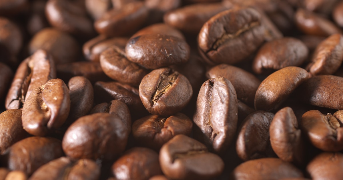 Best Coffee Maker No Pods [cy]: Pod-Free Brewing Guide - lexavebrew