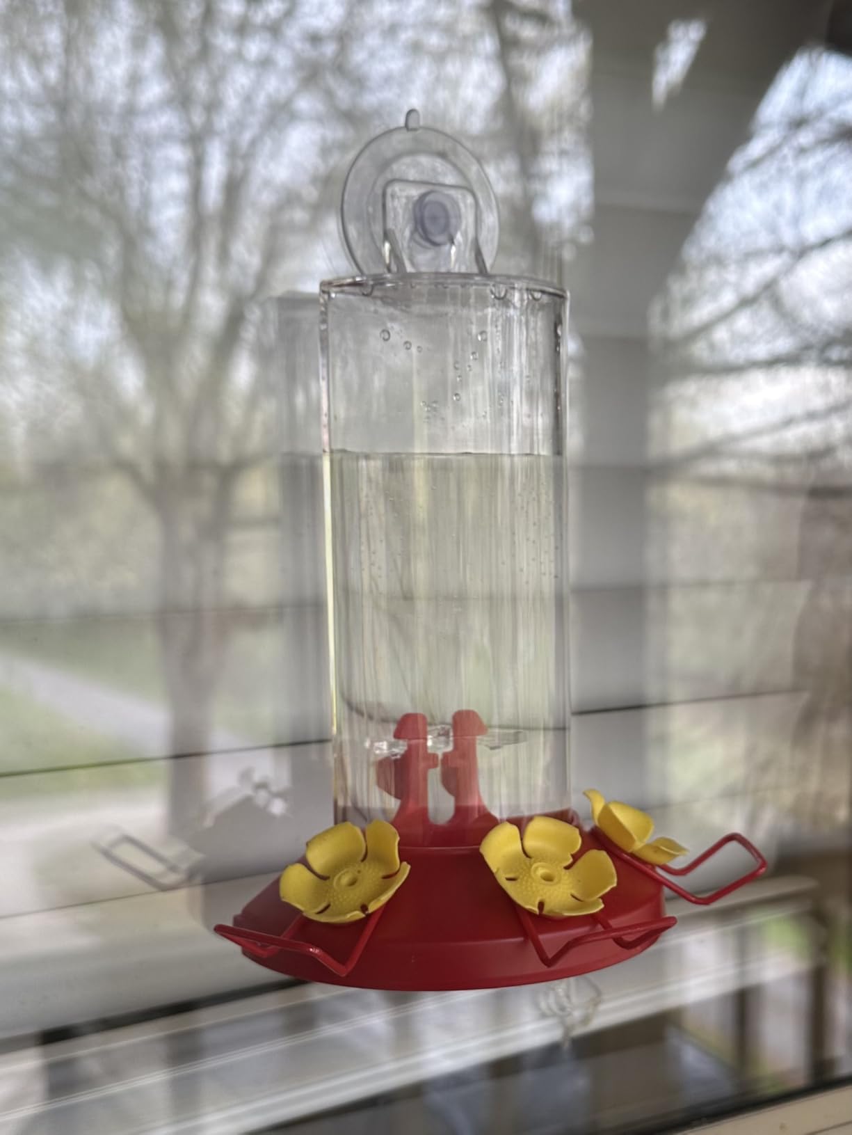Perky-Pet Plastic Window Mount Hummingbird Feeder with Perches - 8 oz Hummingbird Nectar Capacity customer photo 1