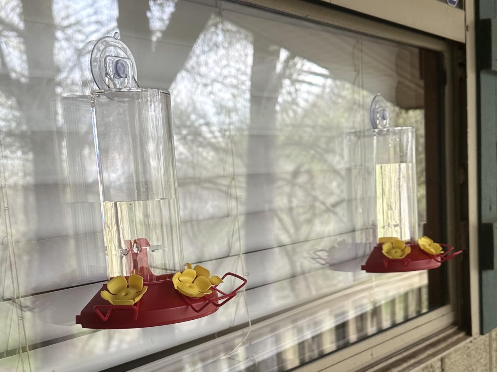 Perky-Pet Plastic Window Mount Hummingbird Feeder with Perches - 8 oz Hummingbird Nectar Capacity customer photo 2