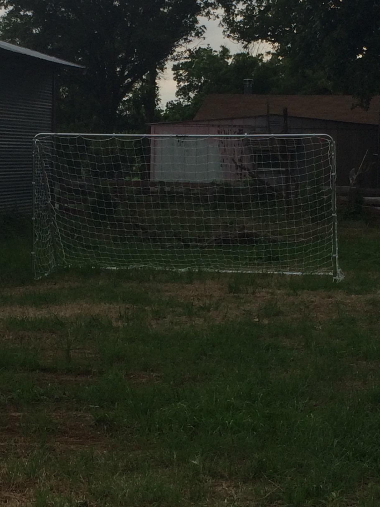 Franklin Sports Competition Soccer Goals - Backyard Portable Steel Soccer Goals - Adult + Youth Soccer Goal with Net + Ground Stakes Included - Multiple Sizes + Colors customer photo 2