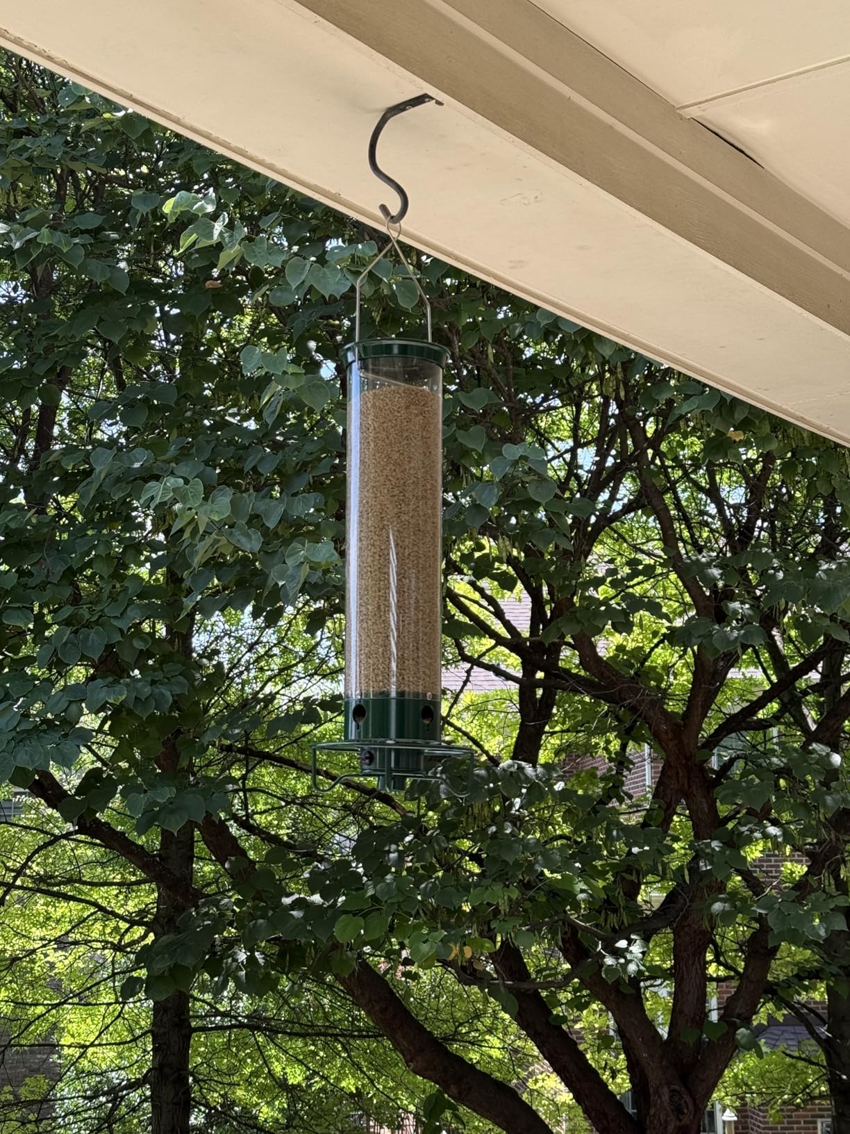Droll Yankees Squirrel Proof Bird Feeders for Outdoors - YF-M - Flipper, Collapsible Perches, 5-Pound Seed Capacity, Green customer photo 1