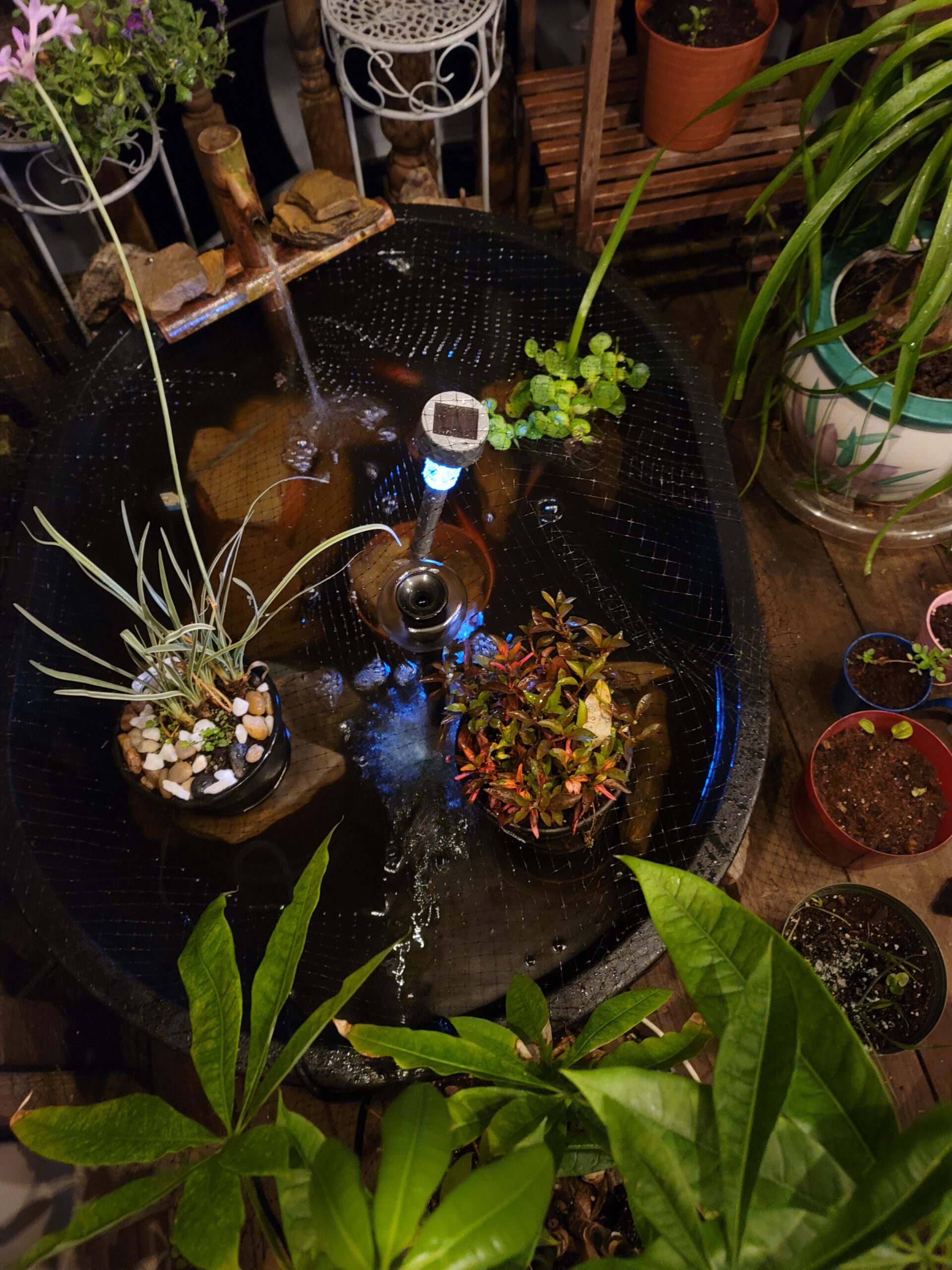 Danner Manufacturing, Inc. Pondmaster Garden Pond Filter and Pump Kit, PMK 190 customer photo 2