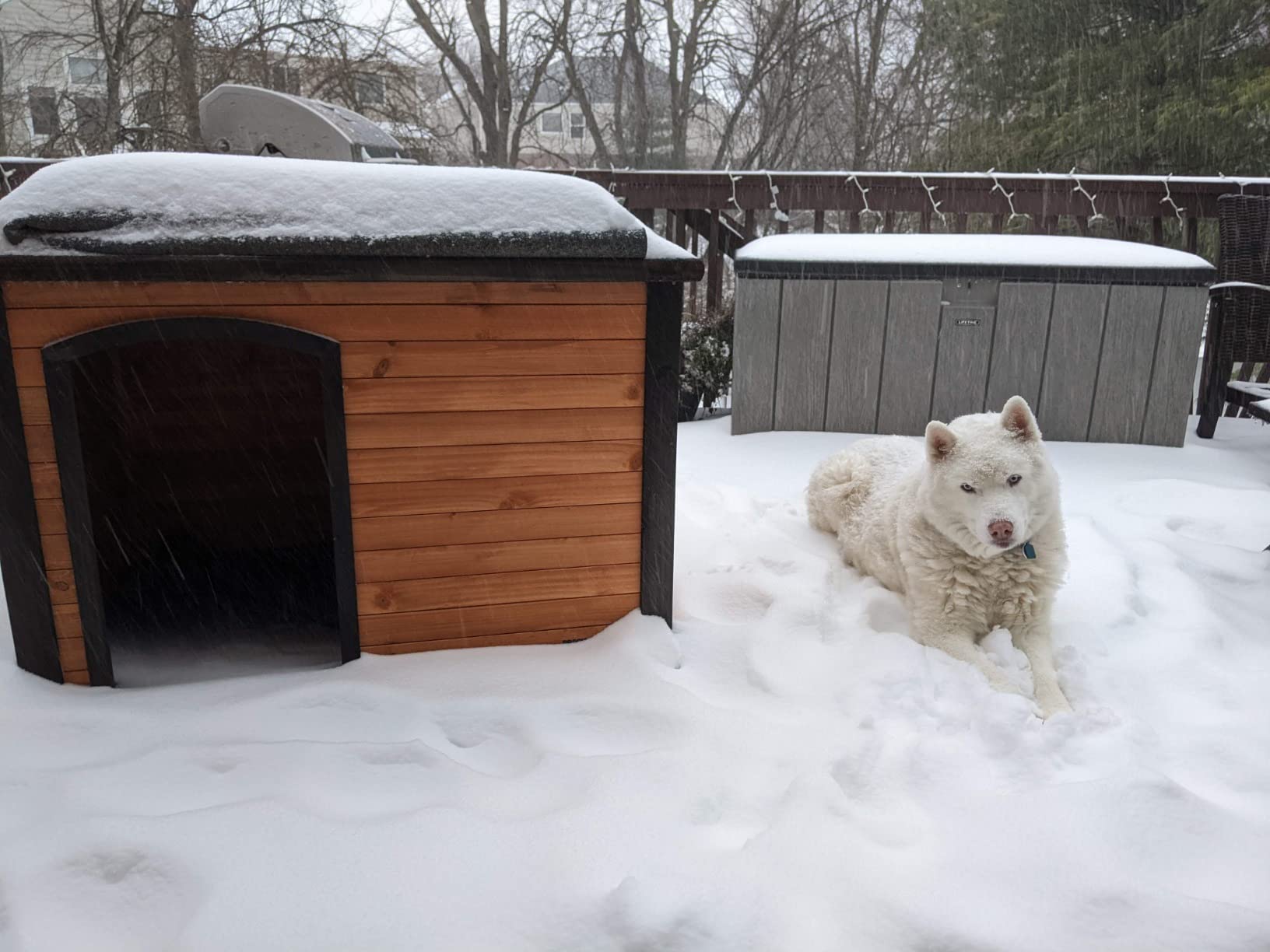 PRECISION PET PRODUCTS Extreme Outback Log Cabin Dog House, Large, Natural Wood customer photo 1