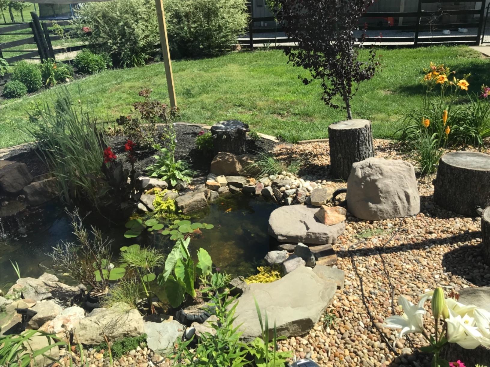 Aquascape DIY Backyard Pond Kit 8 x 11 feet - Complete Water Garden Ecosystem with Pump, Skimmer, and Filter customer photo 1