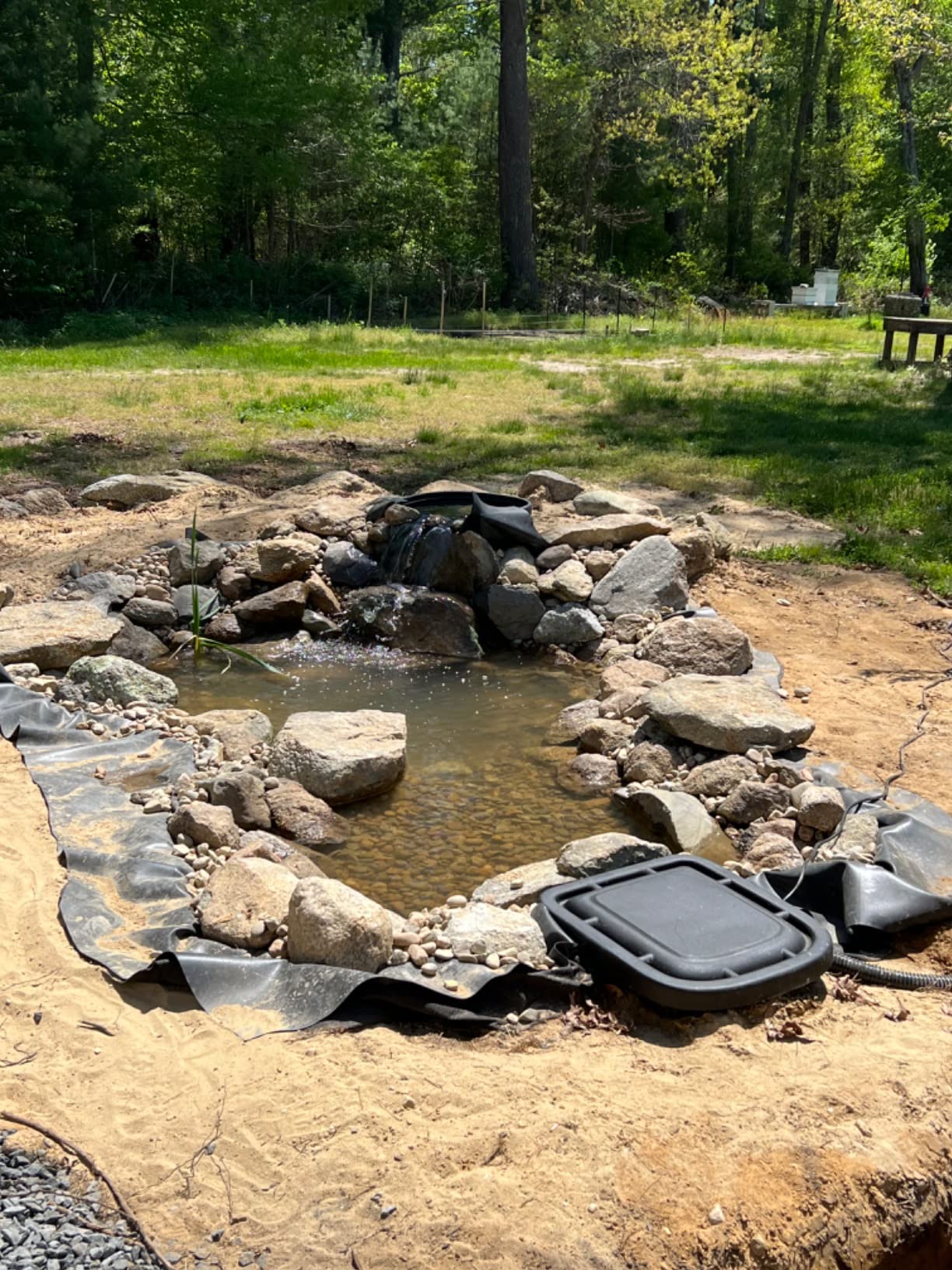 Aquascape DIY Backyard Pond Kit 8 x 11 feet - Complete Water Garden Ecosystem with Pump, Skimmer, and Filter customer photo 2