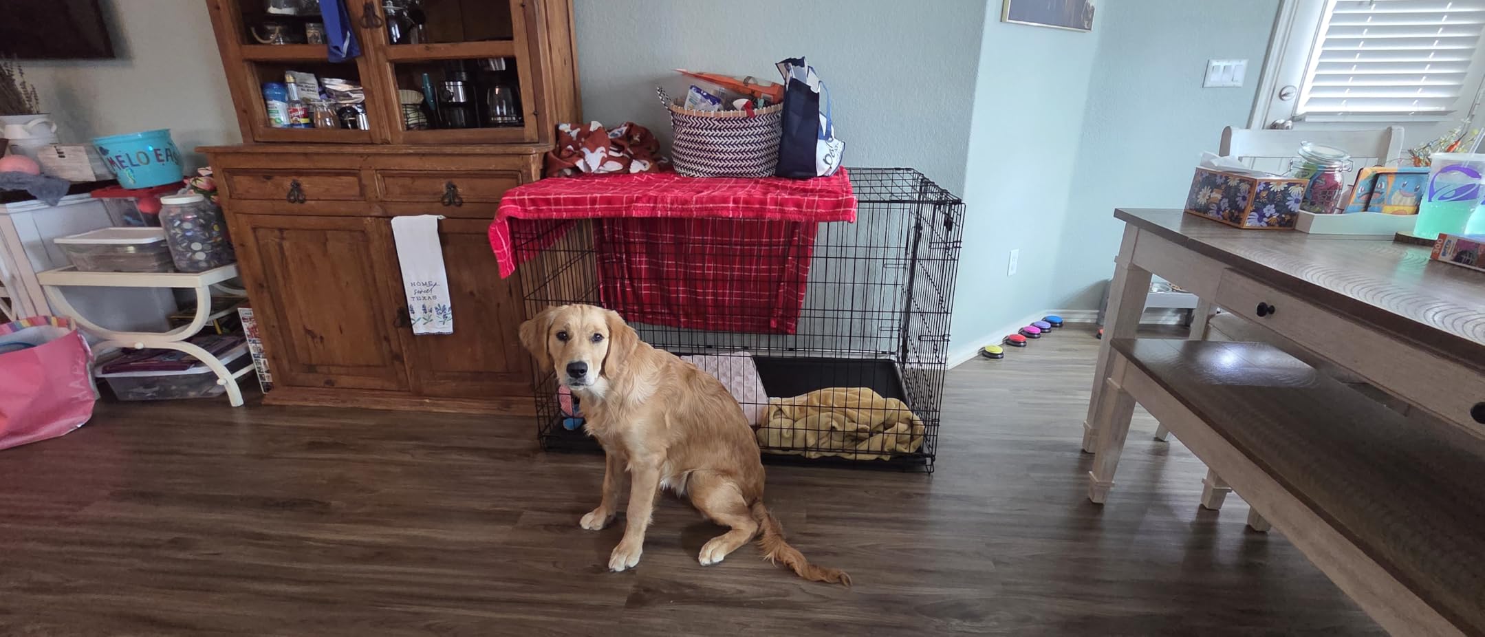 MidWest Homes for Pets 24-Inch iCrate for Small Breeds, 12-20 lbs, Single Door Folding Dog Crate with Divider Panel, Leak-Proof Tray & Secure Latch, Portable, Durable & Easy to Assemble customer photo 2